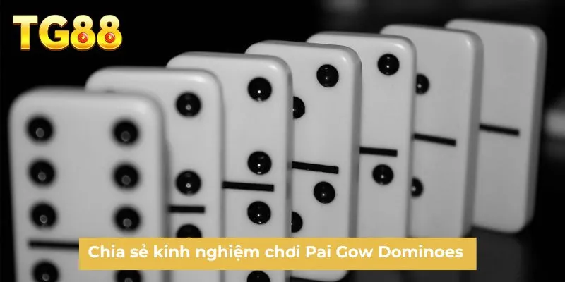 Chia sẻ kinh nghiệm chơi Pai Gow Dominoes