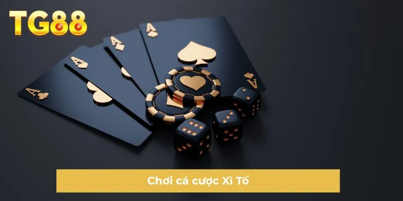 Chơi cá cược Xì Tố