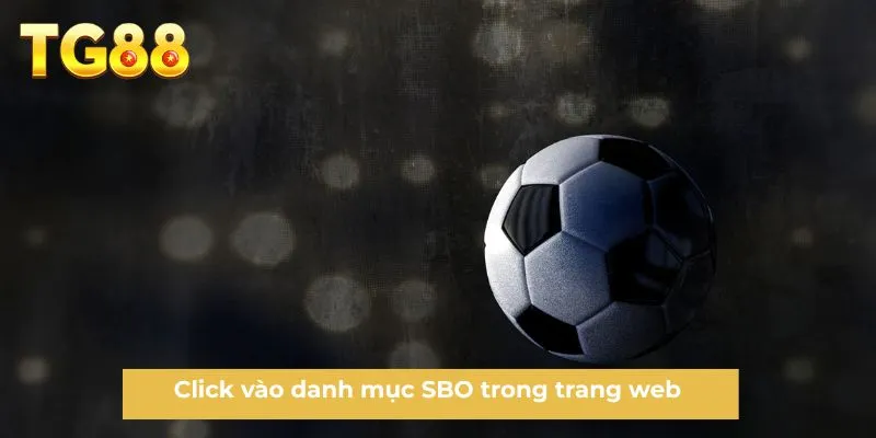 Click vào danh mục SBO trong trang web