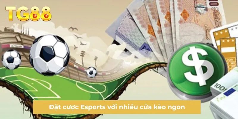 Đặt cược Esports với nhiều cửa kèo ngon