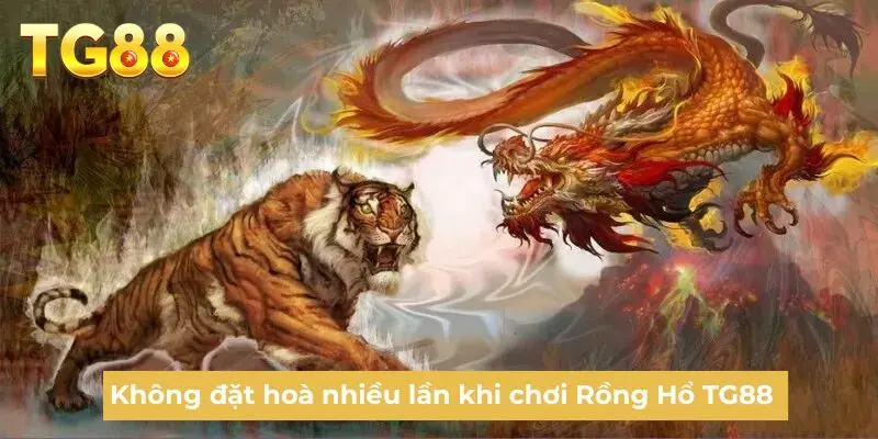 Không đặt hoà nhiều lần khi chơi Rồng Hổ TG88
