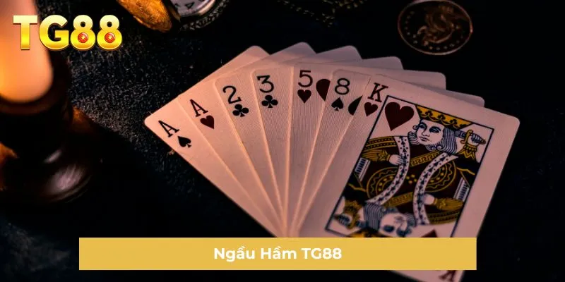Ngầu Hầm TG88