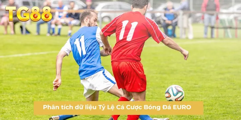 Phân tích dữ liệu Tỷ Lệ Cá Cược Bóng Đá EURO 