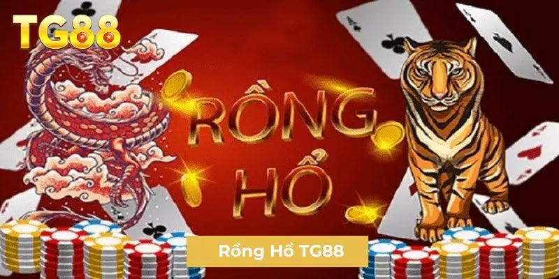 Rồng Hổ TG88