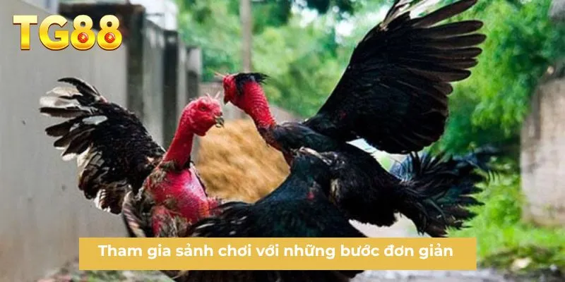 Tham gia sảnh chơi với những bước đơn giản