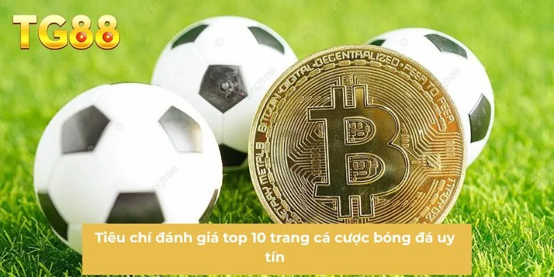 Tiêu chí đánh giá Top 10 Trang Cá Cược Bóng Đá uy tín
