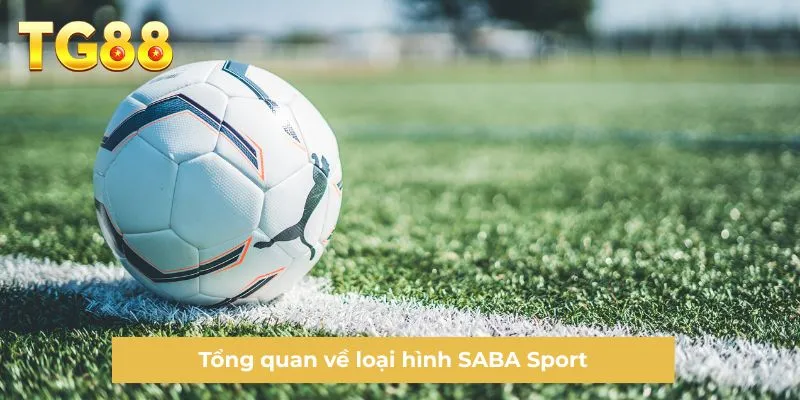 Tổng quan về loại hình SABA Sport