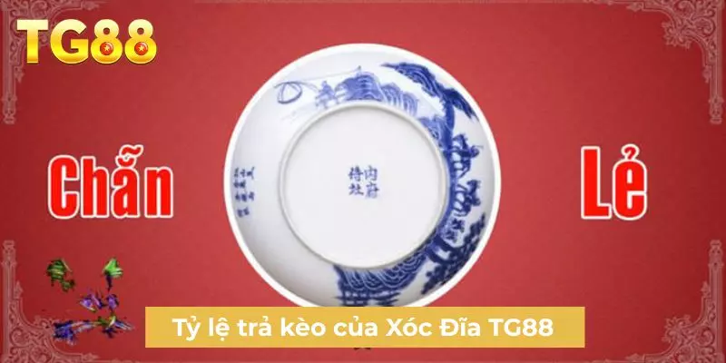 Tỷ lệ trả kèo của Xóc Đĩa TG88