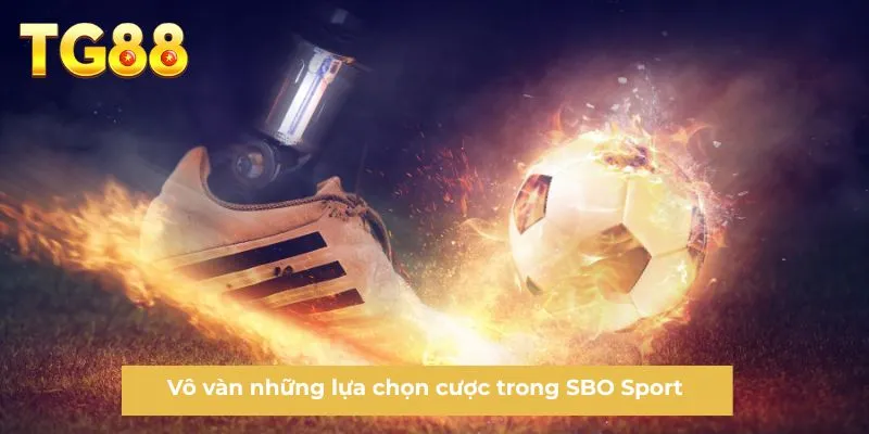 Vô vàn những lựa chọn cược trong SBO Sport